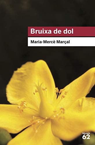 Bruixa de dol - Maria-Mercè Marçal