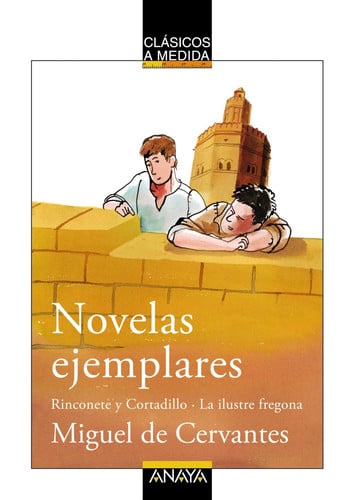 Novelas Ejemplares - Clásicos A Medida - Miguel de Cervantes