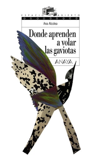 Donde aprenden a volar las gaviotas - Ana Alcolea