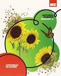 Natural Science 4ºEP - Madrid