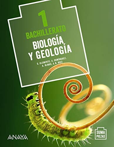 Biología y Geología 1ºBach - Suma Piezas