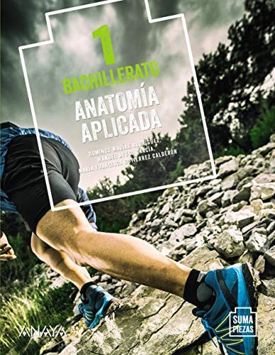 Anatomía aplicada 1ºBach - Suma Piezas