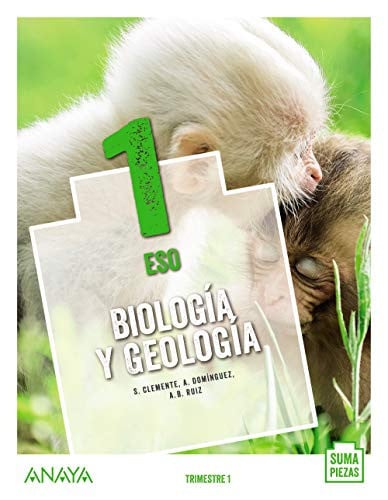 Biología y Geología 1ºESO - Suma Piezas - Trimestres